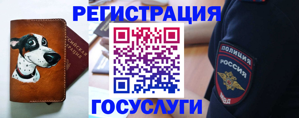 временная регистрация в квартире в Курской области